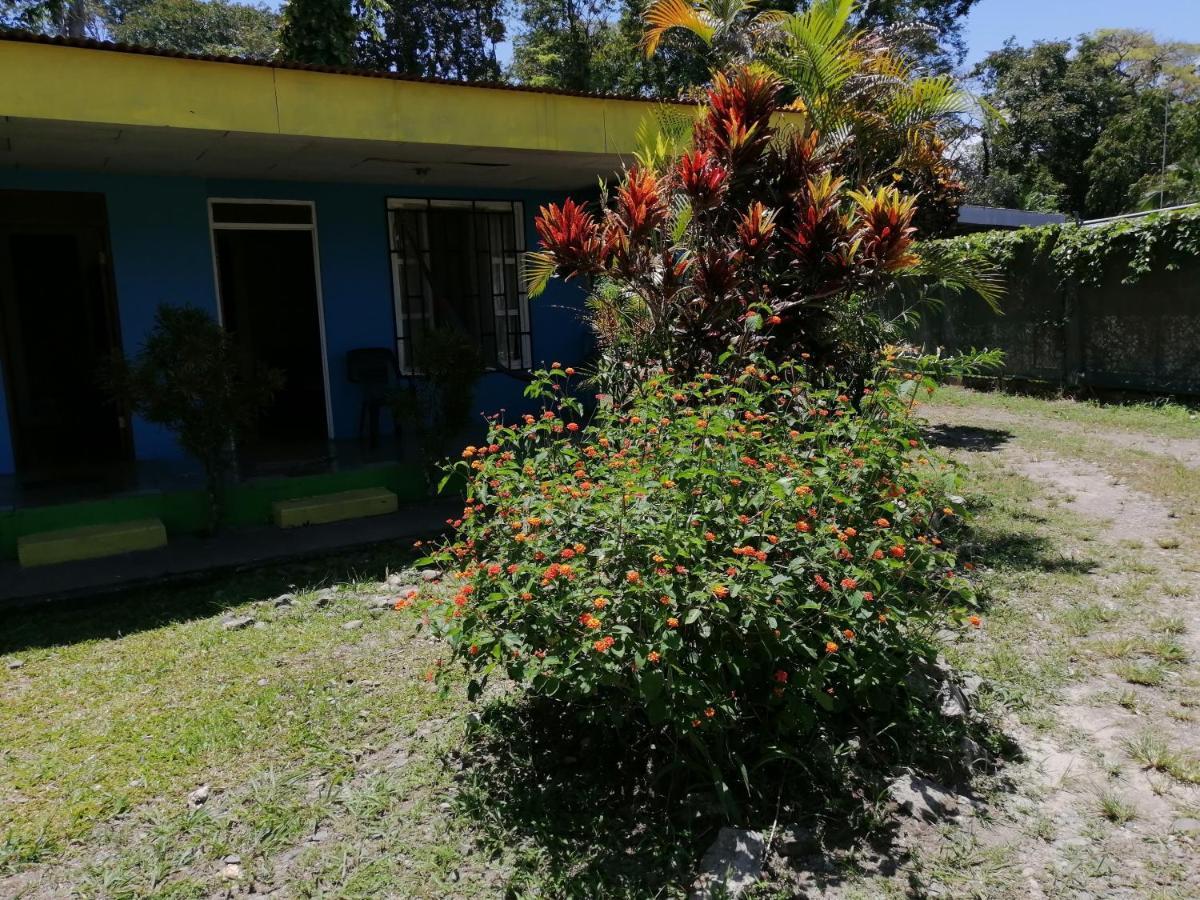 Magic Flower Rooms Cahuita Eksteriør bilde